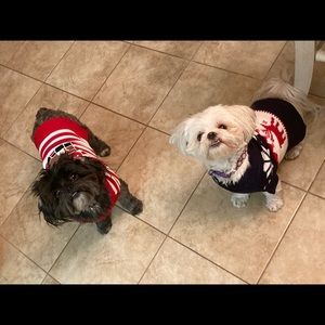 Meet your Posher, Willie